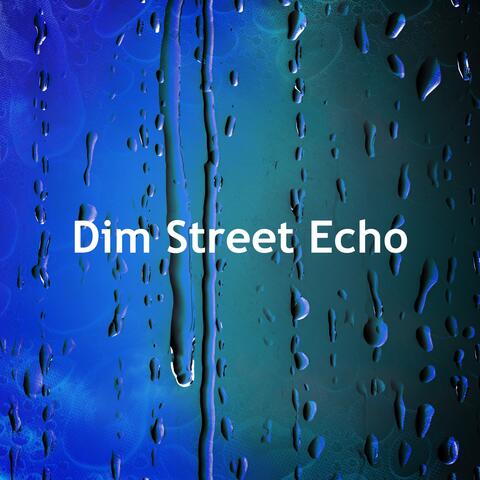 Dim Street Echo