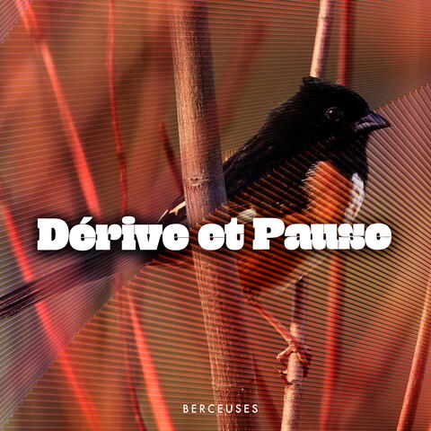 Dérive et Pause
