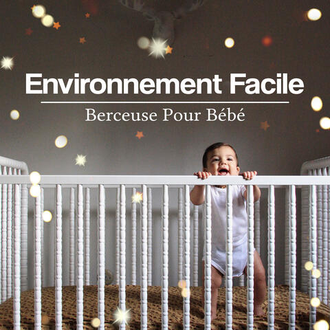Environnement Facile