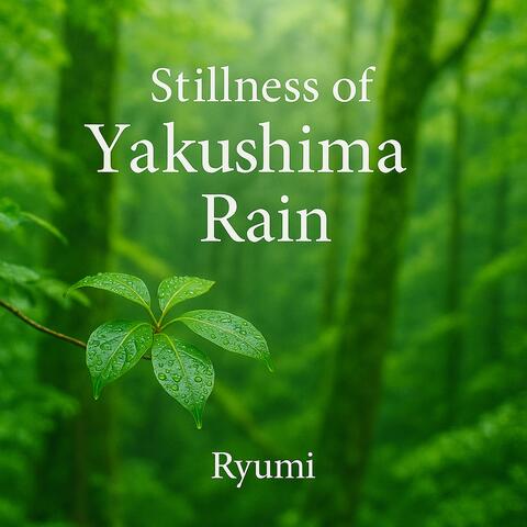 Stillness of Yakushima Rain