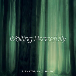 Sophisticated Acoustic