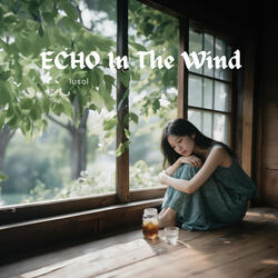 Echo in the wind