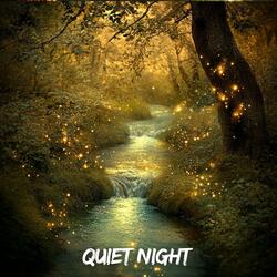 Quiet Night