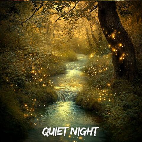 Quiet Night