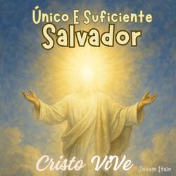 One and Sufficient Savior