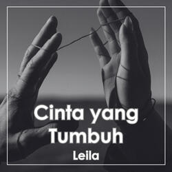 Cinta yang Tumbuh