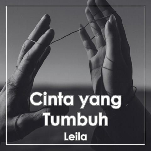 Cinta yang Tumbuh