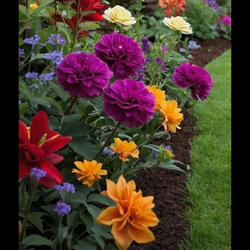 Tak suka liat orang senang