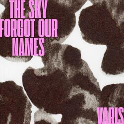 The Sky Forgot Our Names