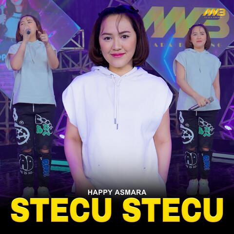 Stecu Stecu