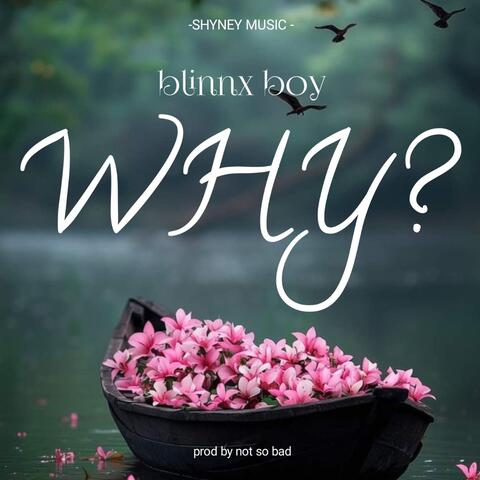 WHY?