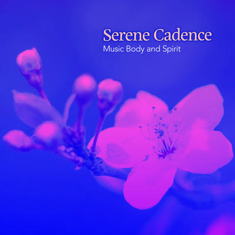 Serene Cadence