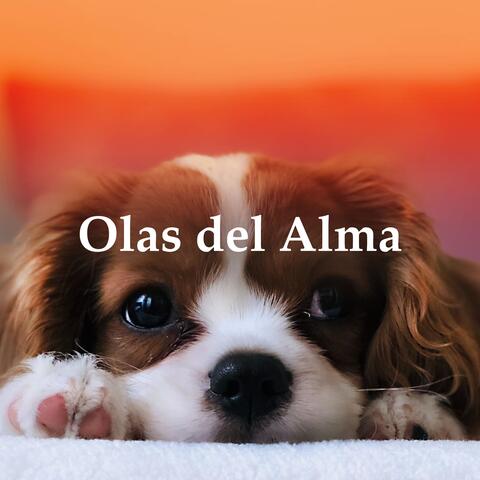 Olas del Alma