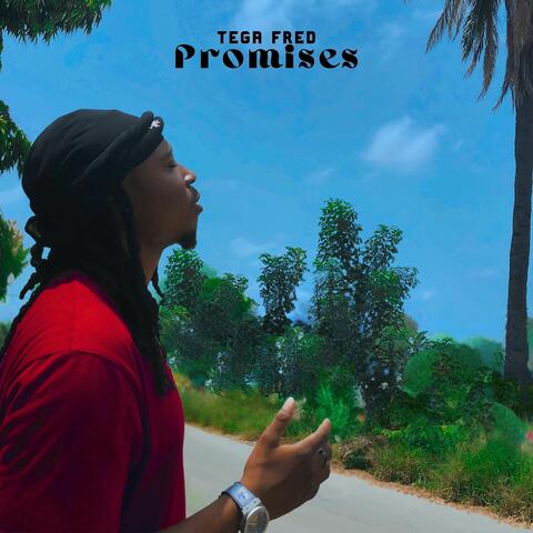 Promises