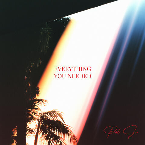 Everything You Needed