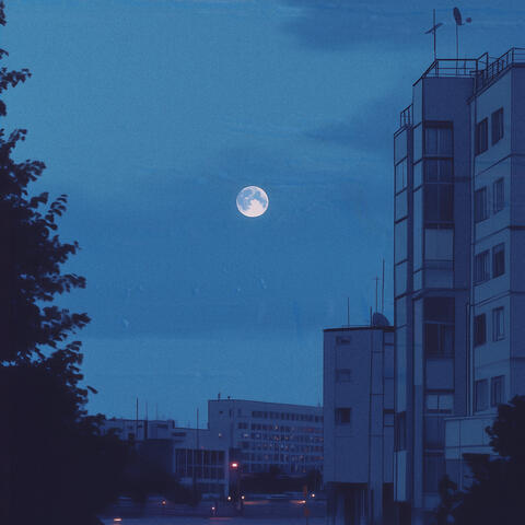 when the city sleeps