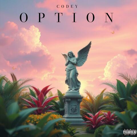 Option
