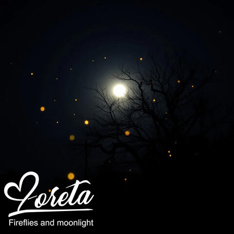 Fireflies and moonlight