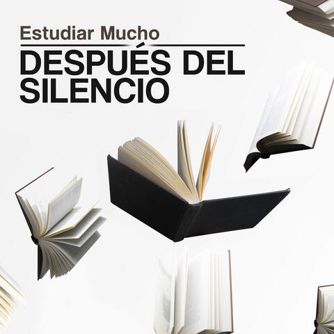Después del Silencio