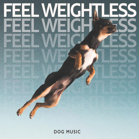 Feel Weightless