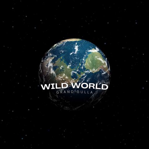 Wild World