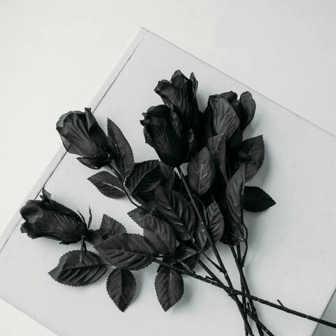 Black Rose