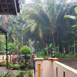 Hasil