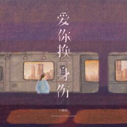 爱你换一身伤