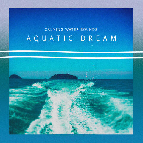Aquatic Dream