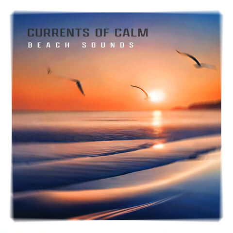 Currents of Calm