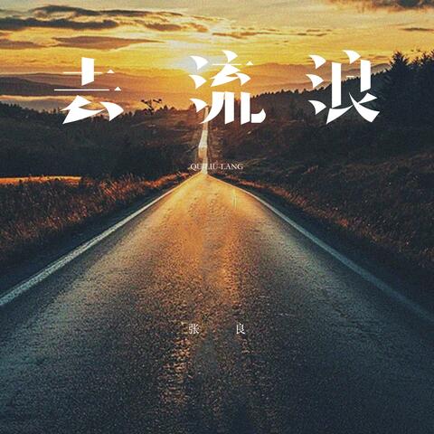 去流浪