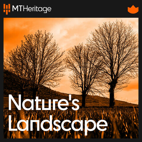 Original Soundtrack of Nature's Landscape