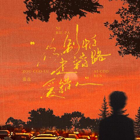 你别怕走错路爱错人