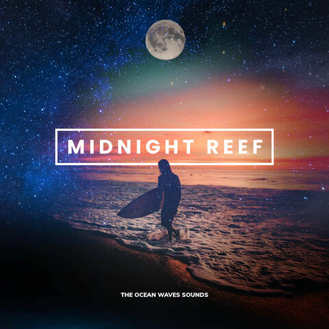 Midnight Reef