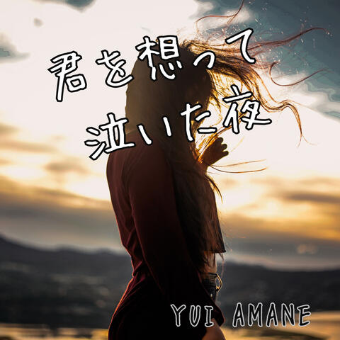 君を想って 泣いた夜