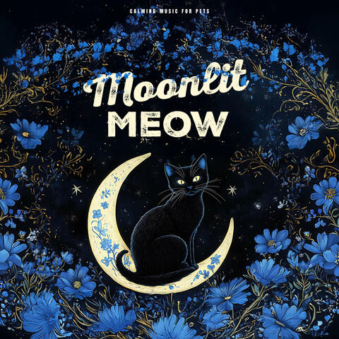 Moonlit Meow