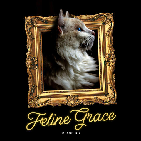 Feline Grace