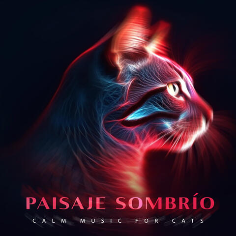 Paisaje Sombrío