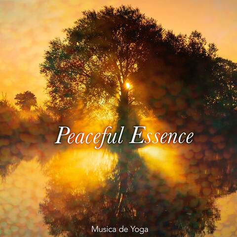 Peaceful Essence