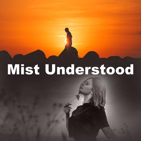Mist Understood