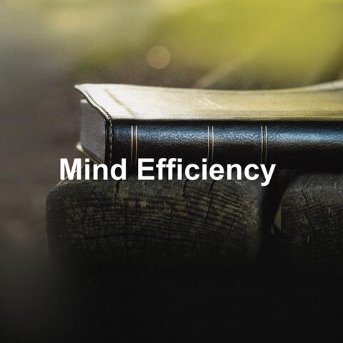 Mind Efficiency
