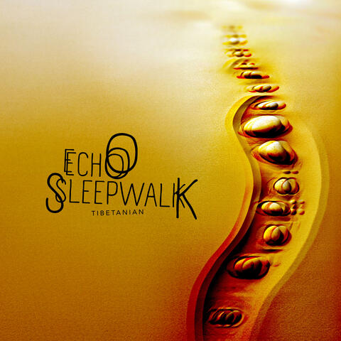 Echo Sleepwalk