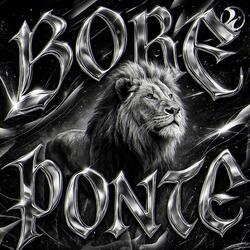 BORE PONTE