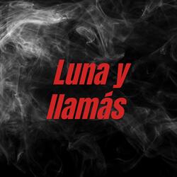 Luna y llamás