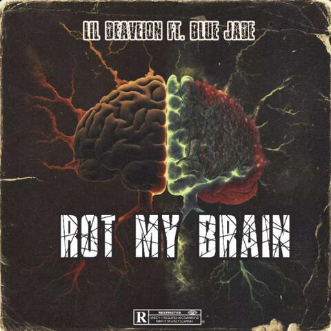 Rot My Brain
