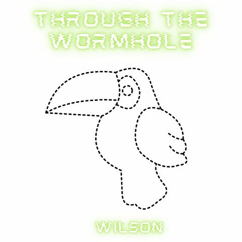 Through the Wormhole