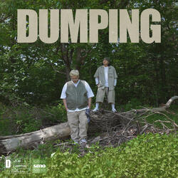 Dump
