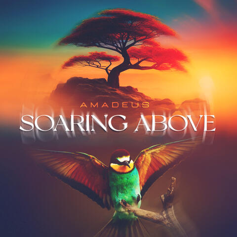 Soaring Above