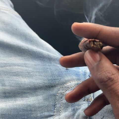 Mesmerized