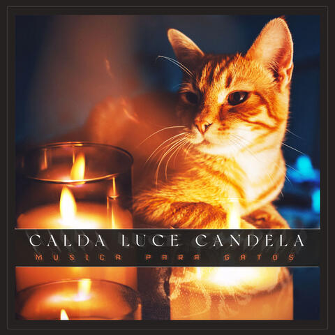 Calda Luce Candela